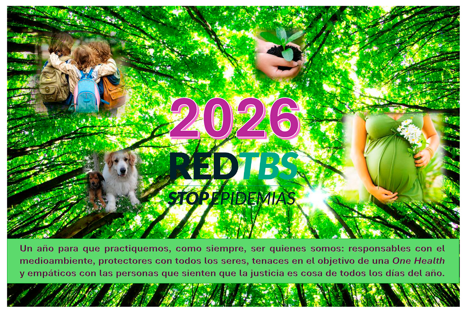 Mensaje de Fin de Año de la Red TBS-Stop Epidemias